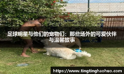 球速体育登录入口