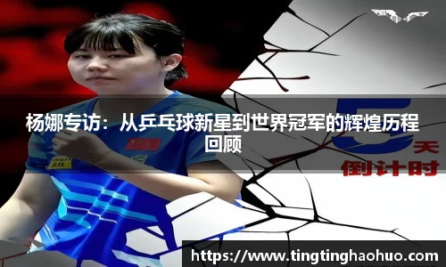 球速体育官方网站