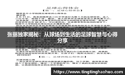 球速体育官方网站